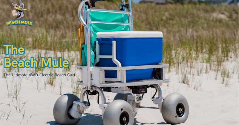 NCChamber's tweet image. Come on down, @MaclellanCo, @USLegendCars, @CenturyFurnitur, and #BeachMule, you&apos;re next up for the #CoolestThingMadeinNC. You&apos;ve joined a pretty impressive club!
#madeinNC #manufacturingday2023 #mfgday #manufacturing