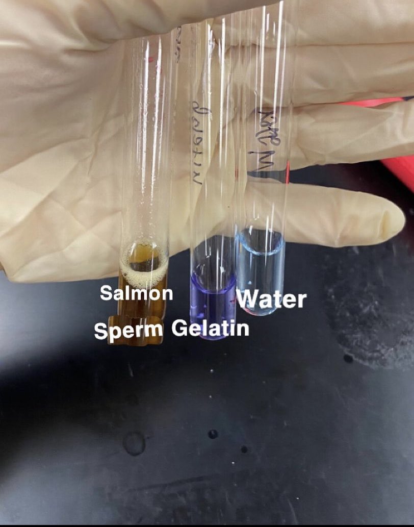 This weeks Biotech lab is testing for the presence of contaminants by using DPA and Biuret Reagents #HawksSoar <a href="/SRHSHawks/">Seminole Ridge HS</a> <a href="/BiotechSrhs/">SRHS Biotech</a> <a href="/SDPBCChoiceCTE/">SDPBC Choice/Career</a> <a href="/JeralineJohnson/">Dr. Jeraline Johnson</a> <a href="/jkh_74/">Junnell K</a> <a href="/tarakobel/">Tara Kobel</a>
