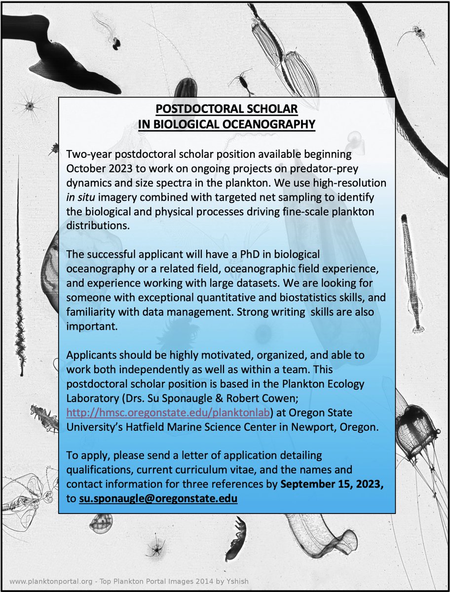 Post-doctoral scholar position open for application in the OSU Plankton Ecology Lab!