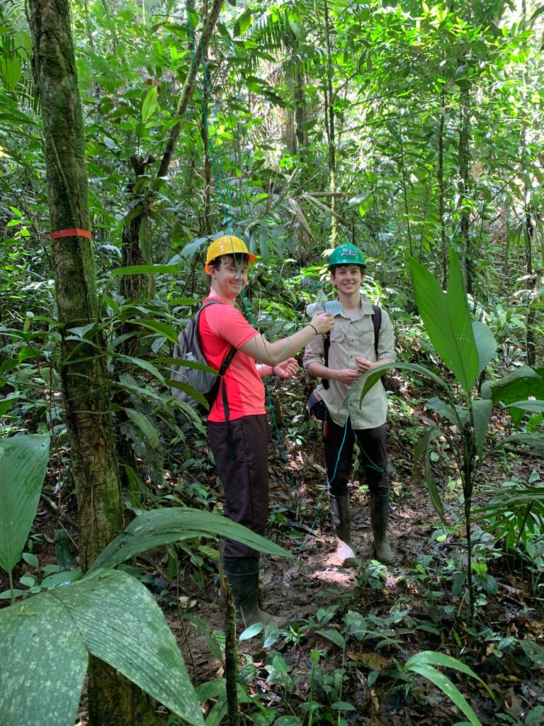 UCDTropicalEcology tweet media