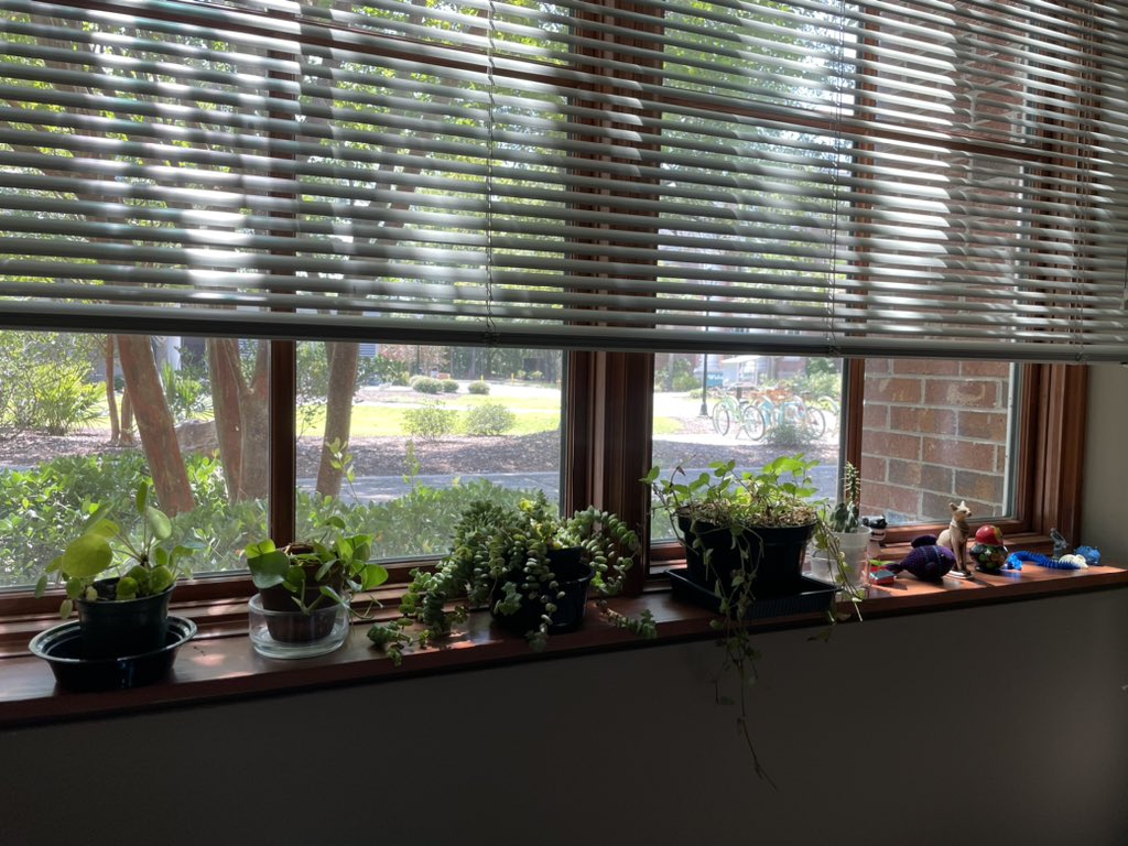 Dr. Callie Crawford tweet media