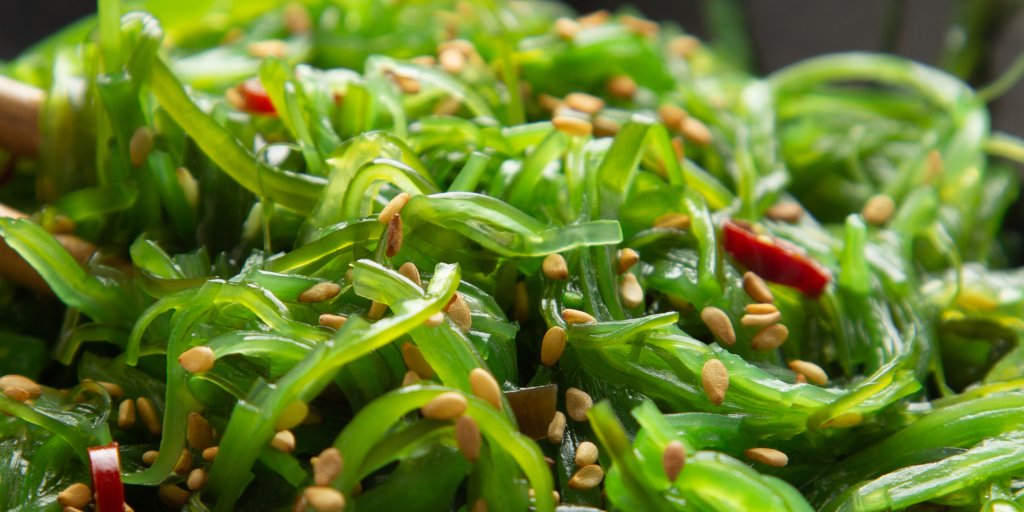 Découvrez l'essence même de l'océan dans chaque bouchée avec notre salade d'algues Wakamé 🌊🥗! Une explosion de saveurs marines fraîches, prête à ravir vos papilles. Plongez dans la fraîcheur de la mer, même à l'intérieur.🌊 
onacook.com/produits-de-la…
#SaladeWakamé #SaveursMarines