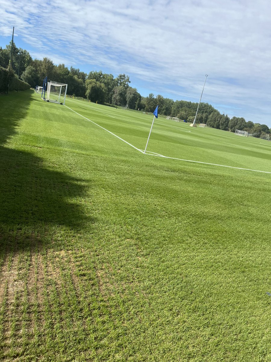 Sam Wright tweet media