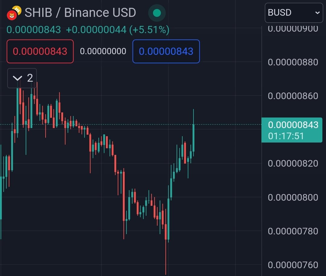 $SHIB KNIGHT tweet media