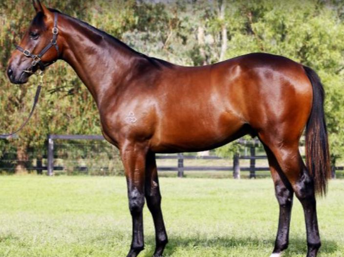 Dickson & Co Insurance Northern Ireland (@_dicksoninsure) on Twitter photo Dickson & Co are passionate about horses and are specialists in all things equine. If you’d like a quote for any of the covers below, then don’t hesitate to give us a call on 02882 251241. 
• Property Insurance
•  Liability
• Racehorse Trainers
• Trailers and Lorries Dickson & Co are passionate about horses and are specialists in all things equine. If you’d like a quote for any of the covers below, then don’t hesitate to give us a call on 02882 251241. 
• Property Insurance
•  Liability
• Racehorse Trainers
• Trailers and Lorries