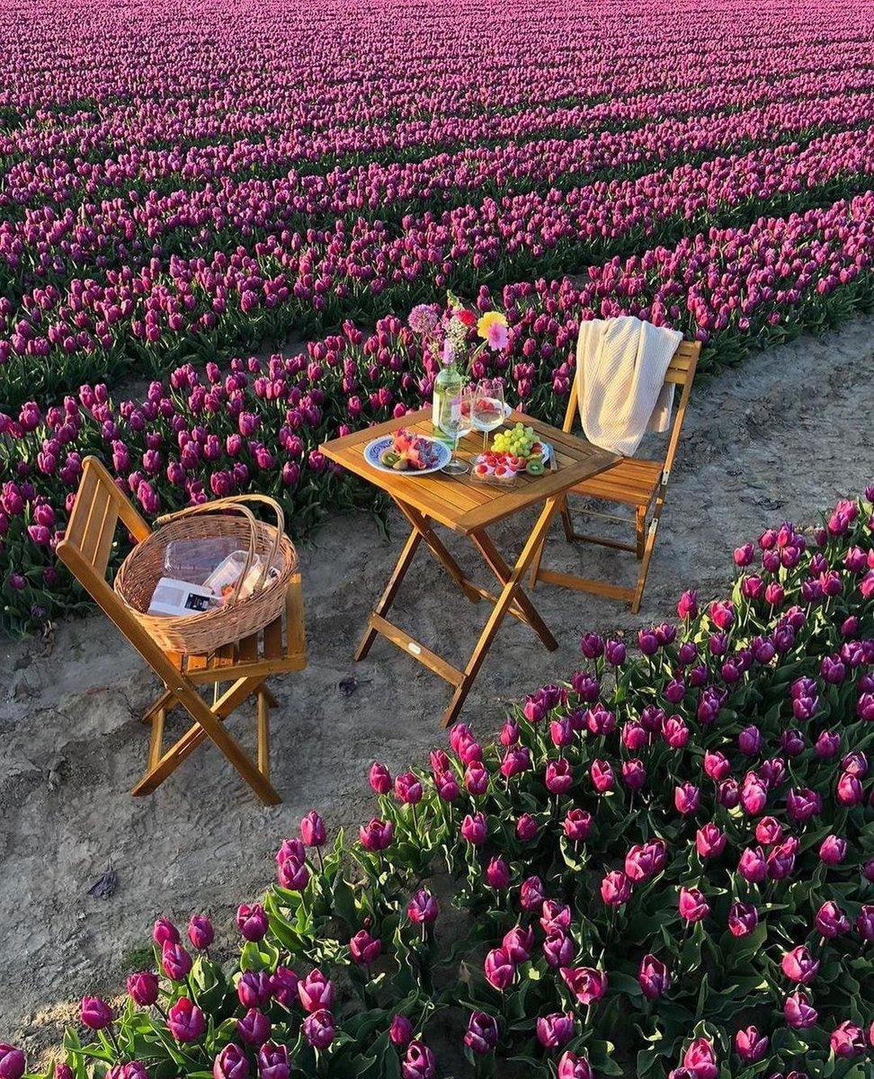 artindetails's tweet photo. surrounded by tulips <3 https://t.co/TaQsFbvb5X