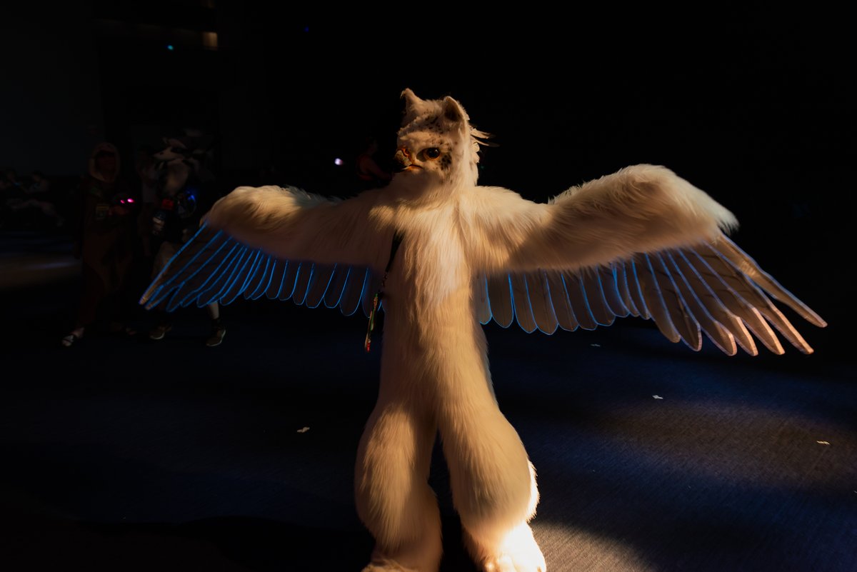 Sora (<a href="/Sora_dreams/">Sora🍁while(!isBird){</a>) shows off some moves #AC2023