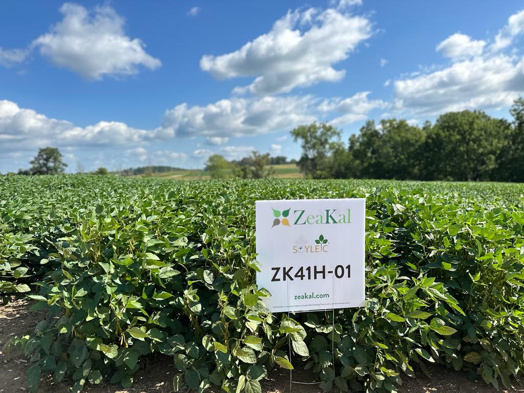 zeakal's tweet image. It was a beautiful day for our inaugural community field day, where local growers &amp;amp; partners saw our beans in action @CarvelUD 🌞🌱

Huge thanks to our collaborators @PerdueAg , @NutrienAgRetail, @GroAlliance, and @UnitedSoy for helping us make this event a success 🎉

#agtech