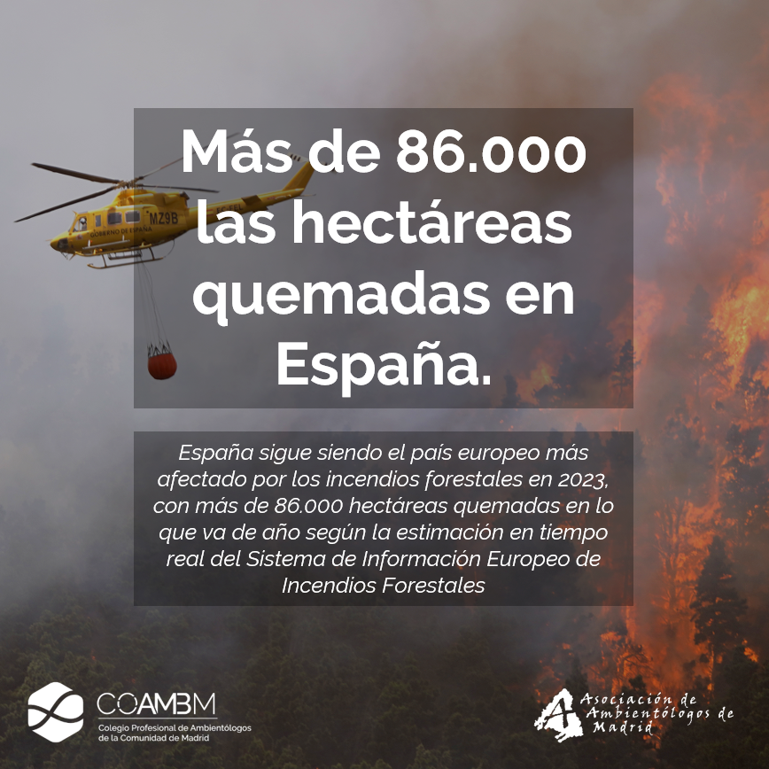 En lo que va de 2023, #España 🇪🇸 ha sufrido más de 86,000 #hectáreas quemadas 🔥 debido a #incendios #forestales 🌳, según las estimaciones en tiempo real del Sistema de Información Europeo de Incendios Forestales (#EFFIS).