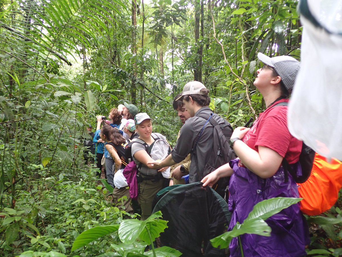 UCDTropicalEcology tweet media