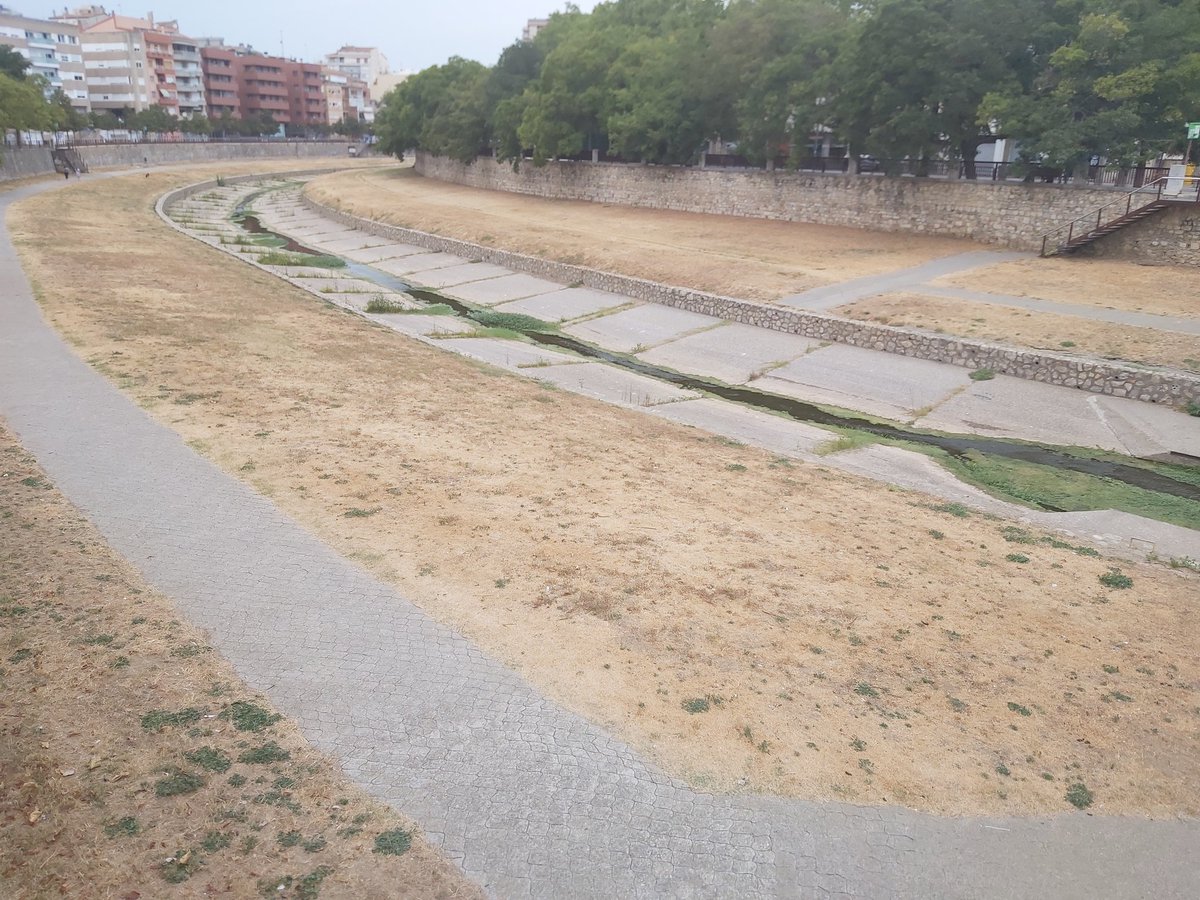 Adrià Compte tweet media