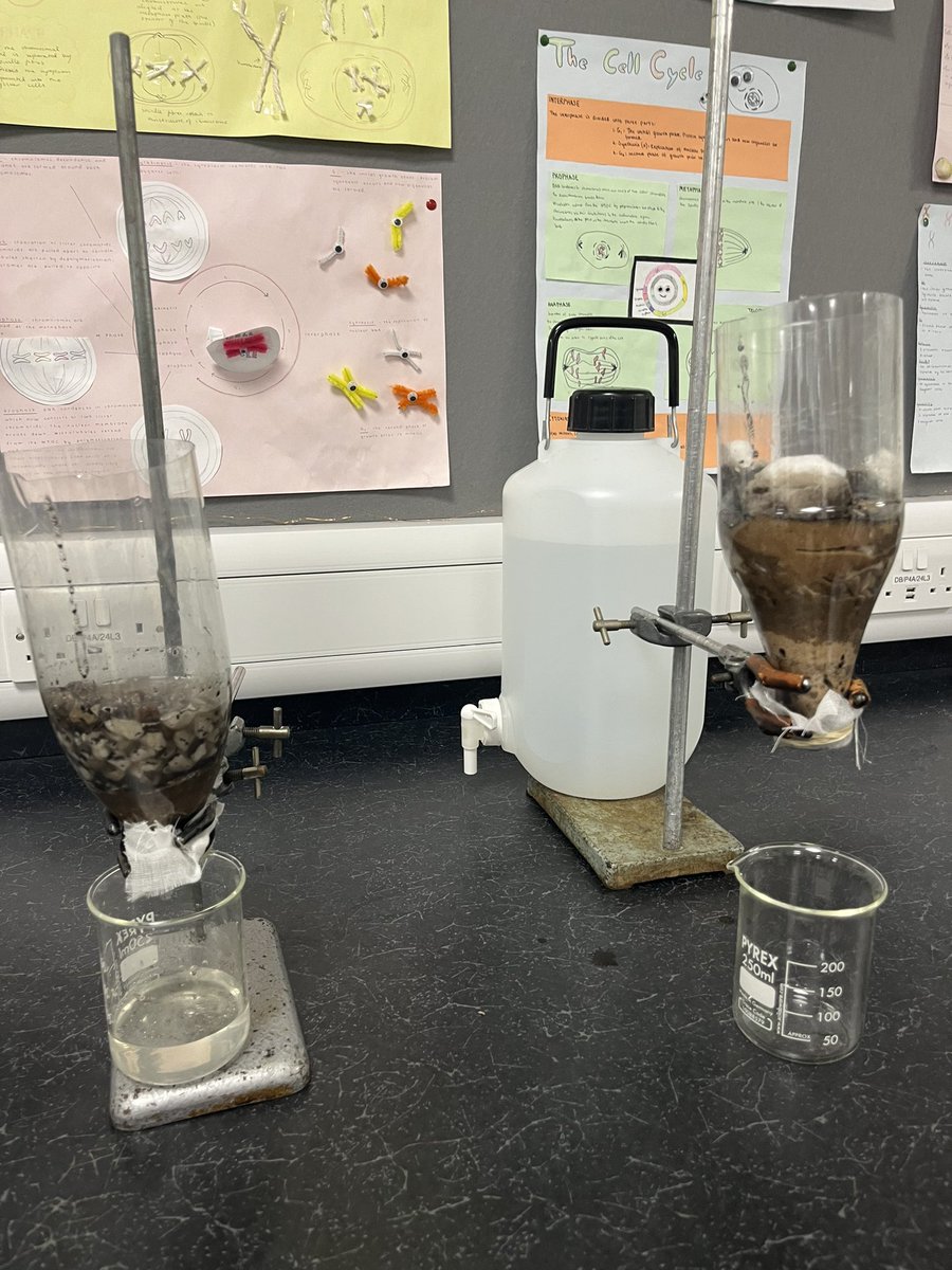 Mr Carson tweet media