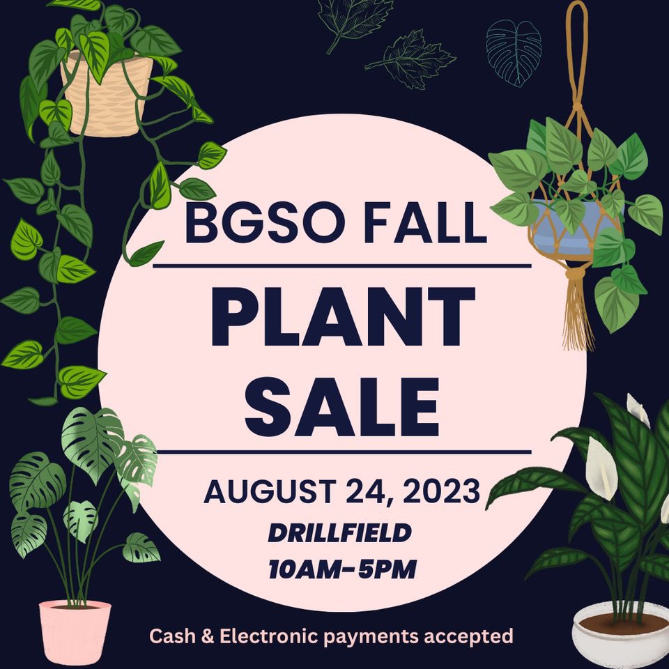 BGSOVT's tweet photo. Tomorrow stop by and buy some plants 🪴 https://t.co/n5twce9OKO