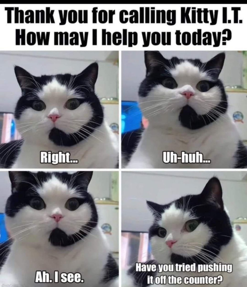 Swiped from Facebook as a pre-#Caturday funny. Kiss your computer goodbye if you listen to this customer rep... 😱😹 <a href="/LouDPhillips/">Lou Diamond Phillips</a>