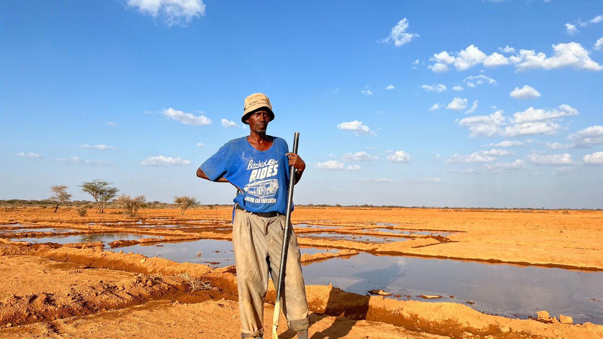 Abdideeq_'s tweet photo. Inspiring people, organizing groups and cooperatives, improving their skill sets, and constructing fodder processing facilities assisted farmers in producing fodder beyond subsistence and into commercial quantities.
This is the story of #FNSREPRO in Sool and Sanaag @FAOSomalia https://t.co/zzKr6okxR7
