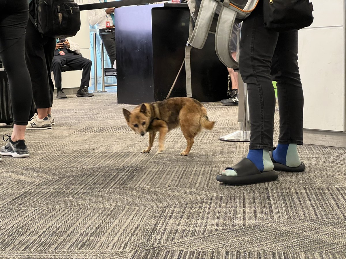 Bryan Innes tweet media