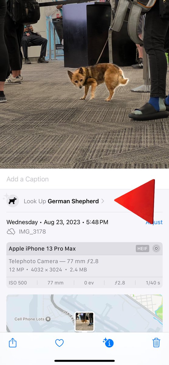 Bryan Innes tweet media