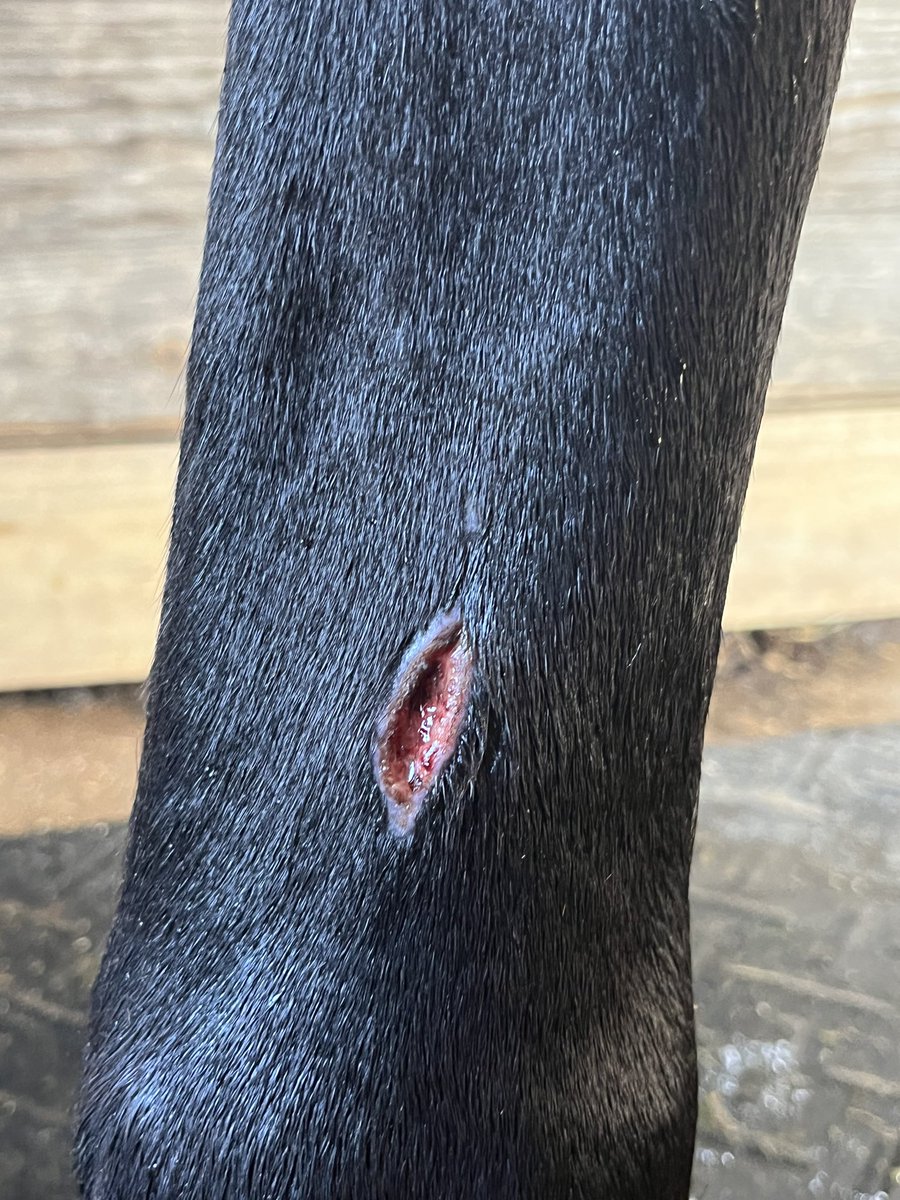 barn liability tweet media