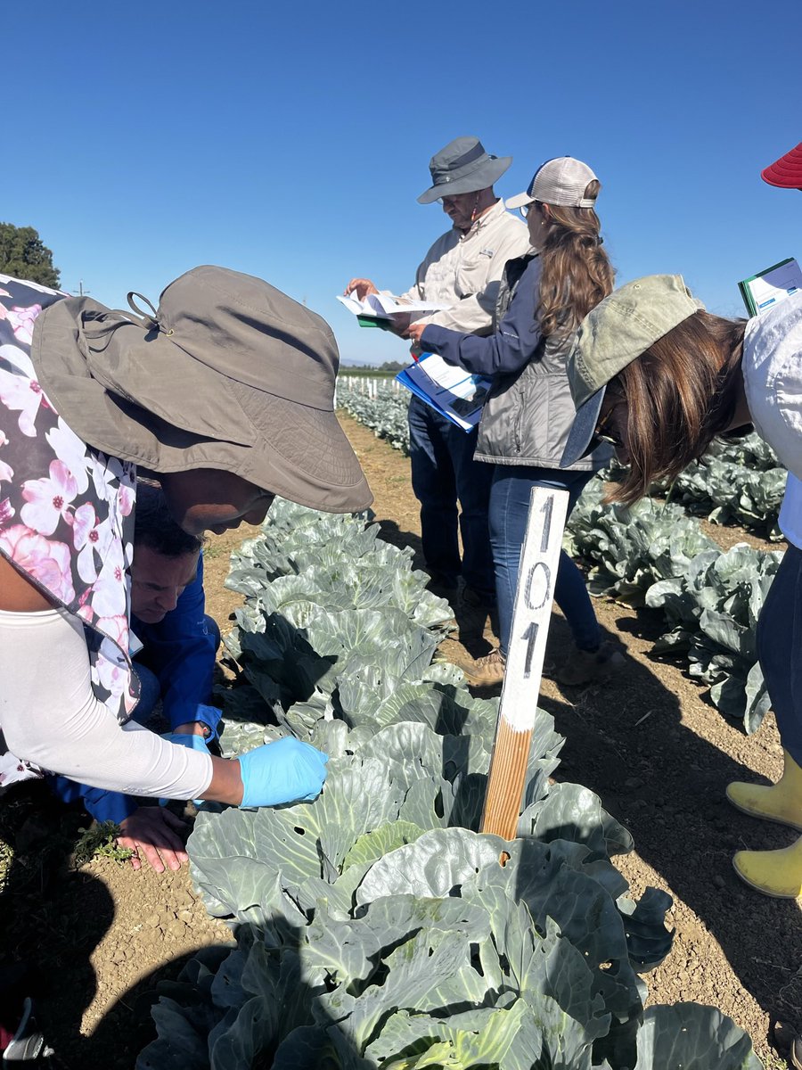 Victoria Adeleye tweet media