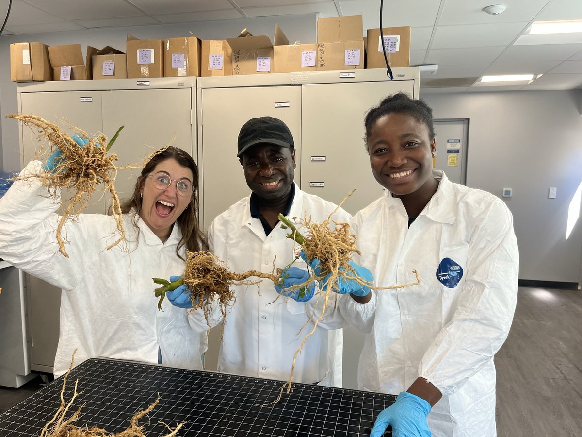 Victoria Adeleye tweet media