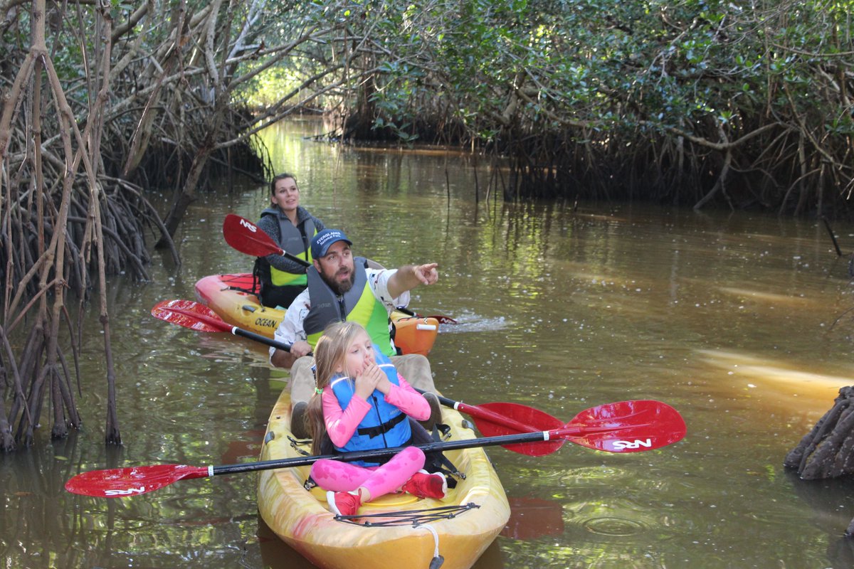 You never know what you’ll find kayaking through the Everglades. 🚣 Reserve your next adventure now: evergladesfloridaadventures.com/activities-and…