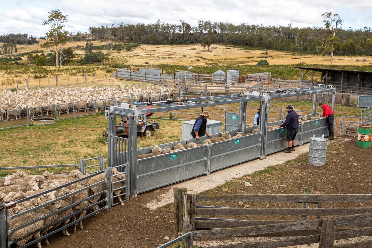 James and Tahnee McShane have met and overcome many challenges making their mark on Rotherwood, in #Tasmania’s Central Highlands. Rotherwood station is one of 10 spectacular #pastoral properties featured in our 2023 #OUTBACK Stations magazine outbackmag.com.au/stations-magaz…