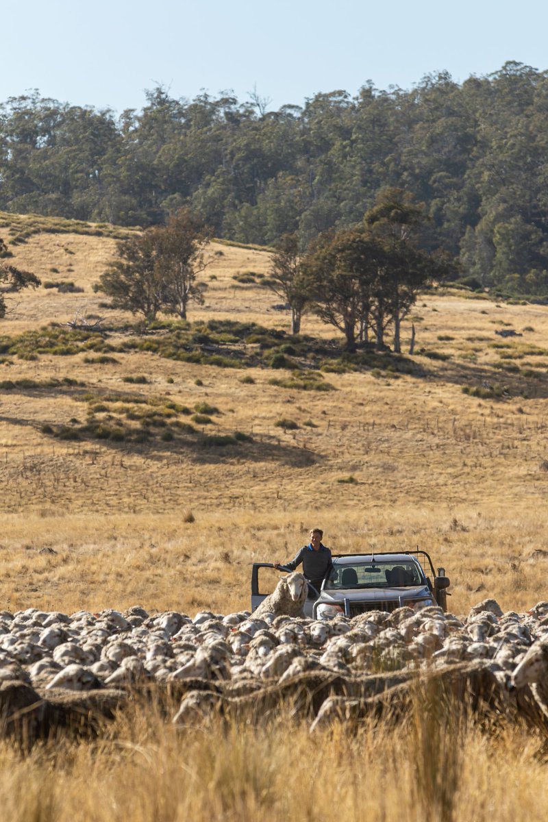 OUTBACK magazine tweet media
