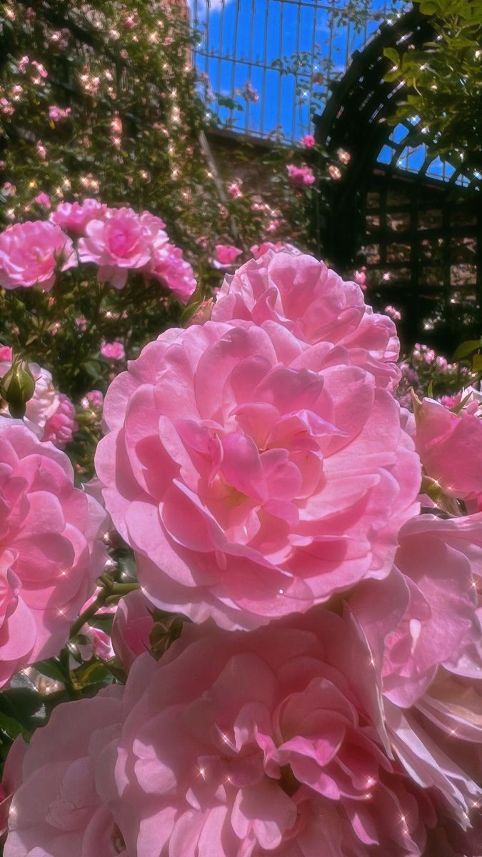 portakal (@lafuchsiaa) on Twitter photo 