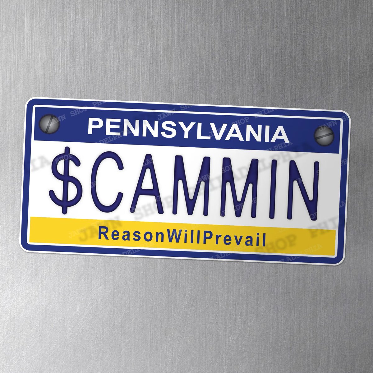 allsaintsray's tweet photo. @alexandraariley Sharyn needs the “$CAMMIN” plate https://t.co/QDwHszEejr