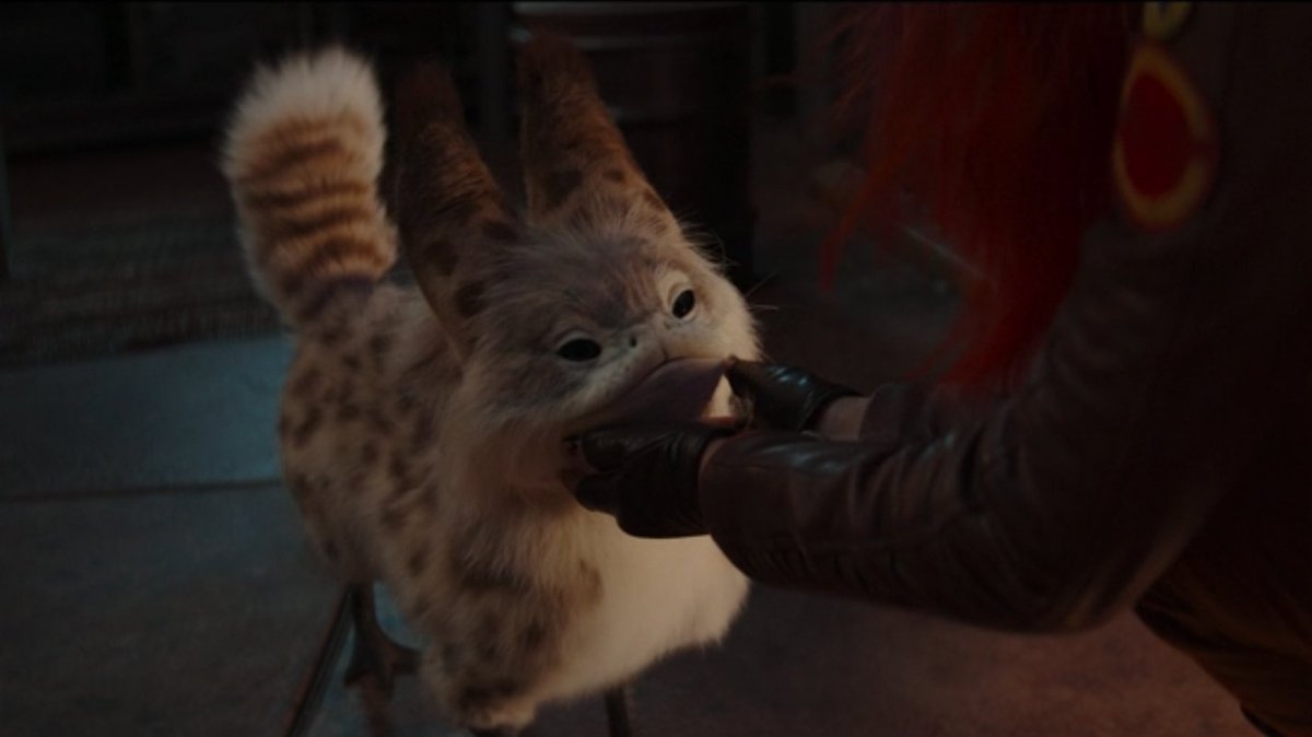 I'm watching Ahsoka for the plot.
The plot: 

#Ahsoka #Lothcat #starwars