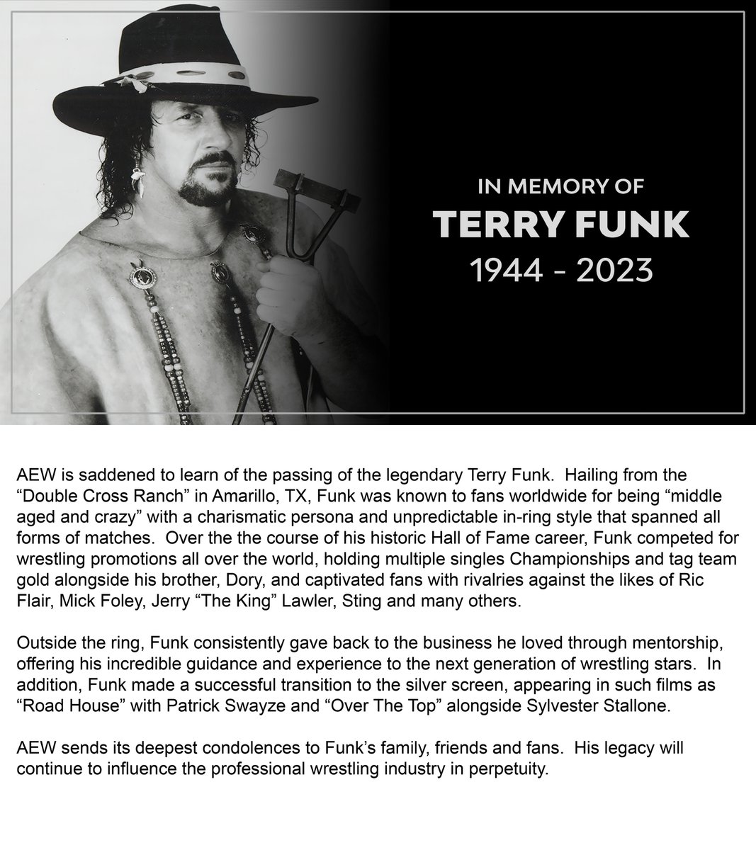 Terry Funk Forever