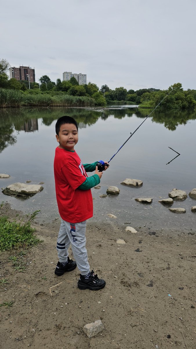 creative monkey tweet media