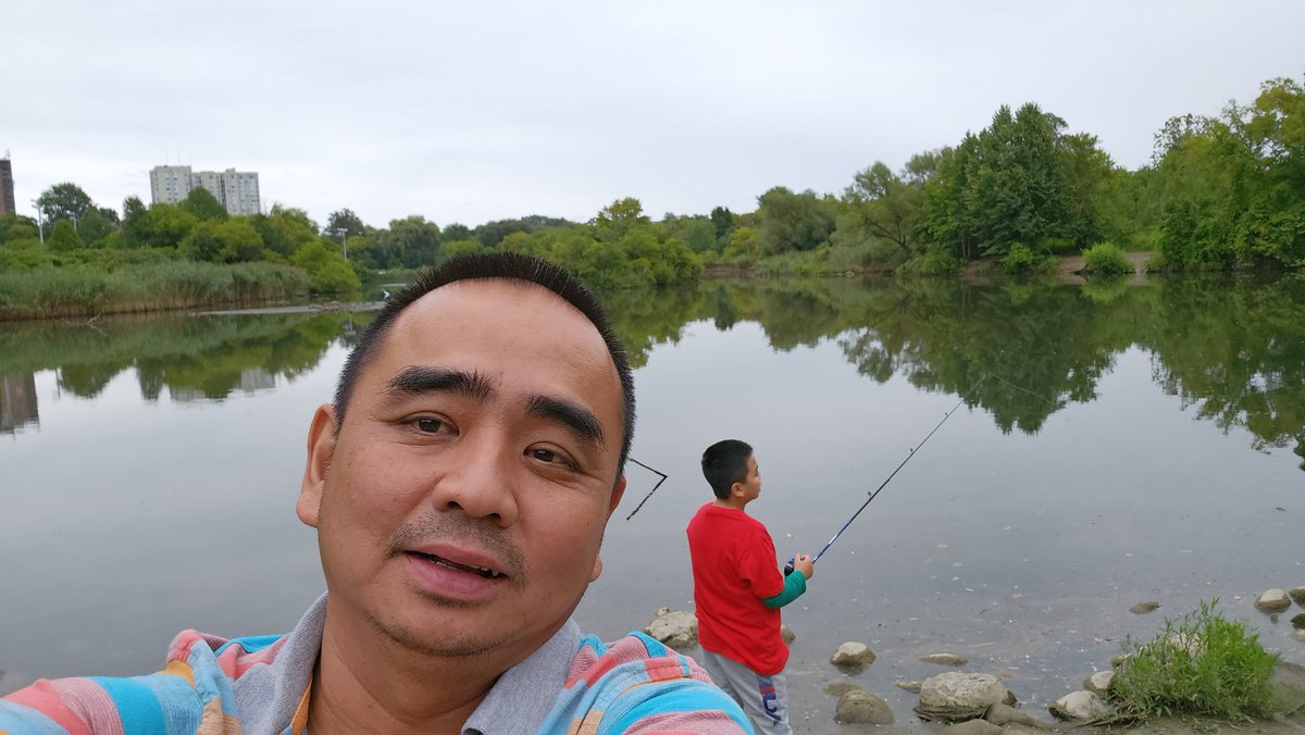 creative monkey tweet media