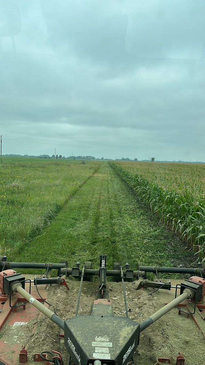 GreggMuehler's tweet image. Mile long rounds.  When mowing is, do I dare say fun?  Crisp.  #bushhog #mowing #redrivervalley