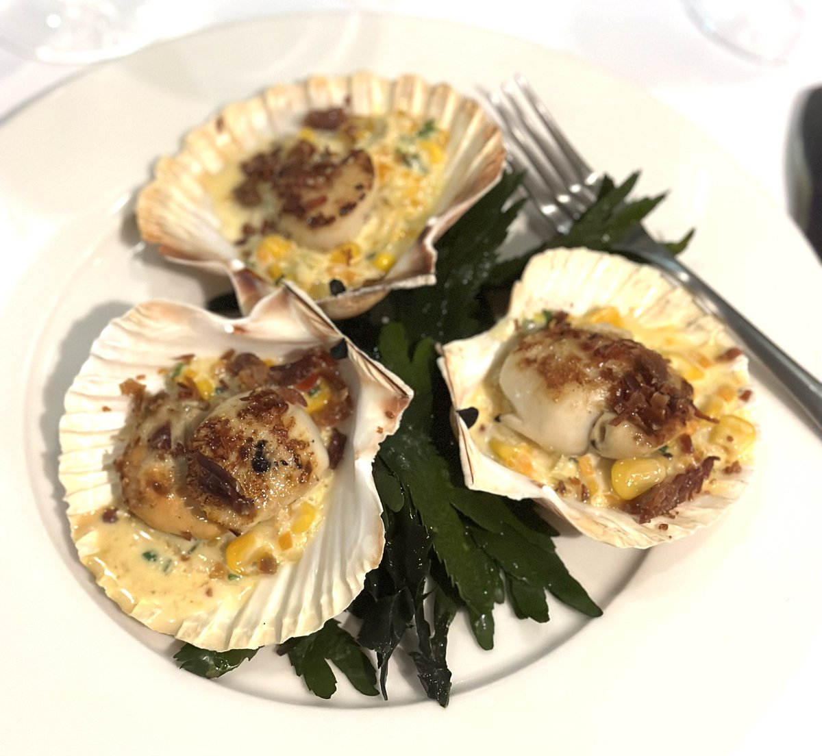 ewanventers's tweet photo. Delicious fish supper at The Seafood Restaurant this evening in Padstow @RickSteinRest - so fresh! #seafoodrestaurant #rickstein #padstow #cornwall https://t.co/L91YZeCJ4T