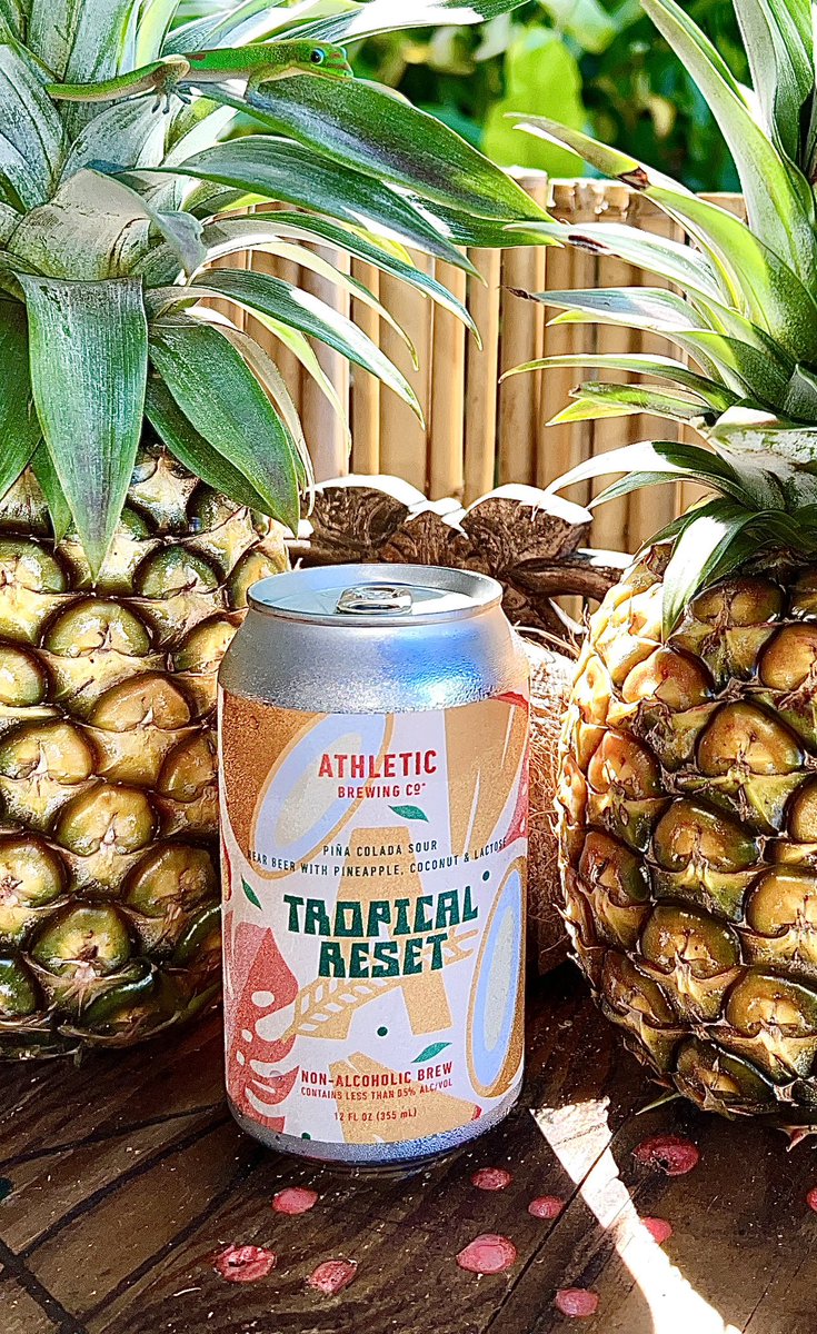 BIGFOOOOT's tweet photo. @GregLunt27 Moved to these. Much improved health and sleep. Open pic for a surprise https://t.co/REYw7UCpgC