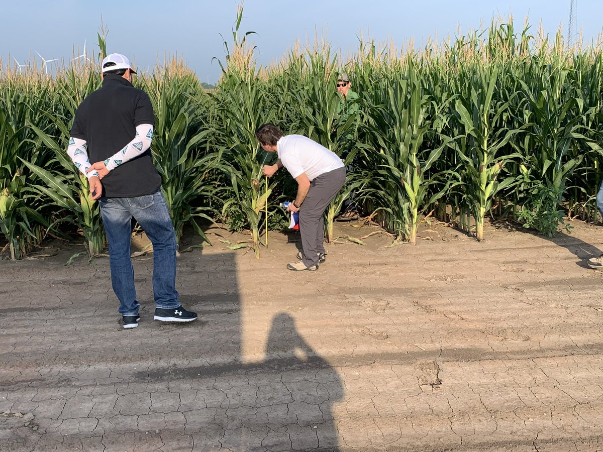 RothzenTa's tweet image. I had a great time today on the @BayerTraits #Preceon smart corn tour. Got to meet a lot of great people from multiple countries and backgrounds. A lot of good conversations and a lot of water!  It was a little warm today. Thanks @IntegratedSeed and @lyleeiten for hosting us!