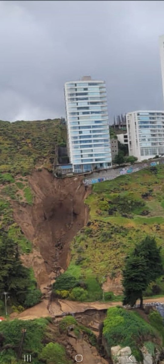 Trini Lathrop tweet media