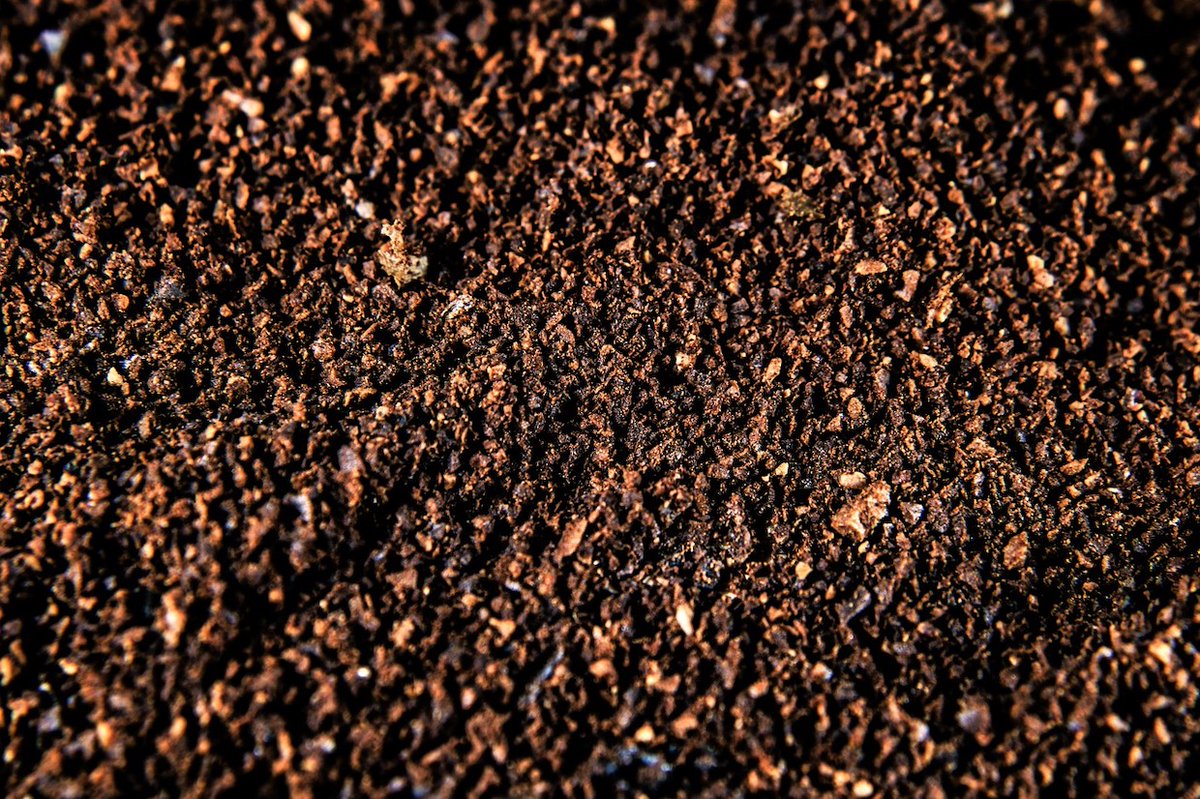Study: Coffee Grounds Can Make Concrete 30% Stronger dlvr.it/Sv4Srm