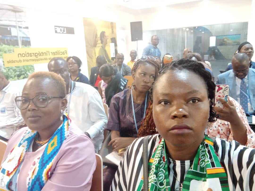 Association FEDIA - TOGO tweet media