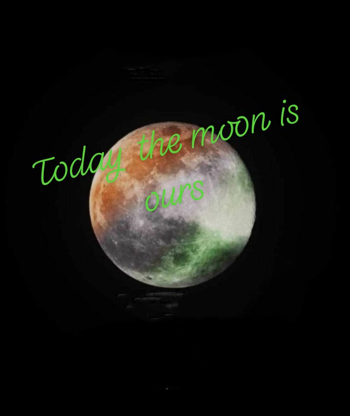 ChandanGoldar9's tweet image. Jai hind🇮🇳🇮🇳🌹🌹🌹🌹