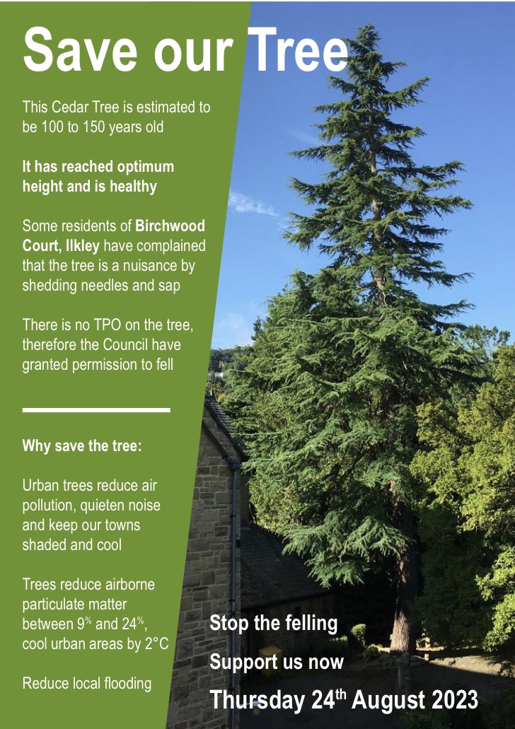Lottie_Scaife's tweet photo. HELP PLEASE 🌲‼️
The Cedar Tree at Birchwood Court, #Ilkley is estimated to be between 100-150 years old. The tree is at risk of being felled 🪓 Thursday 24th August 2023 🌲
Residents call on locals & neighbours to make a stand & protect the tree. 👩🏻🤝👨🏼👩🏼🤝👩🏽👨🏼🤝👨🏿 #saveourtree https://t.co/fkXJGimk5b