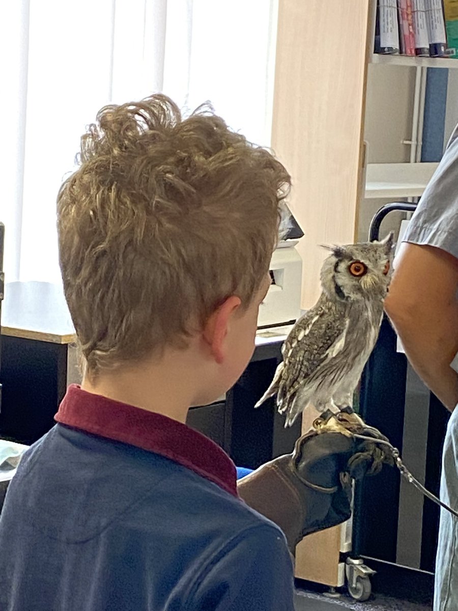 OakdaleLib's tweet photo. Ymwelodd Bailey y dylluan wyneb gwyn african @OakdaleLib heddiw. Diolch Jason @FALCONRYUK 

Bailey the african white faced owl visited @OakdaleLib today. Thanks Jason @FALCONRYUK 
#CaerphillyCares @CaerphillyCBC https://t.co/ivcbJjXotR