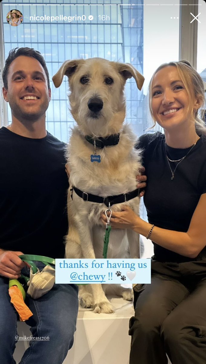 Activate HQ tweet media