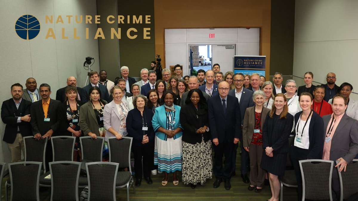 Today, we officially launch the #naturecrimealliance - a multi-sector network that raises political will, mobilises financial commitment, and bolsters operational capacity to fight nature crime

Together, we can end crimes against people and planet

naturecrimealliance.org/governments-la…