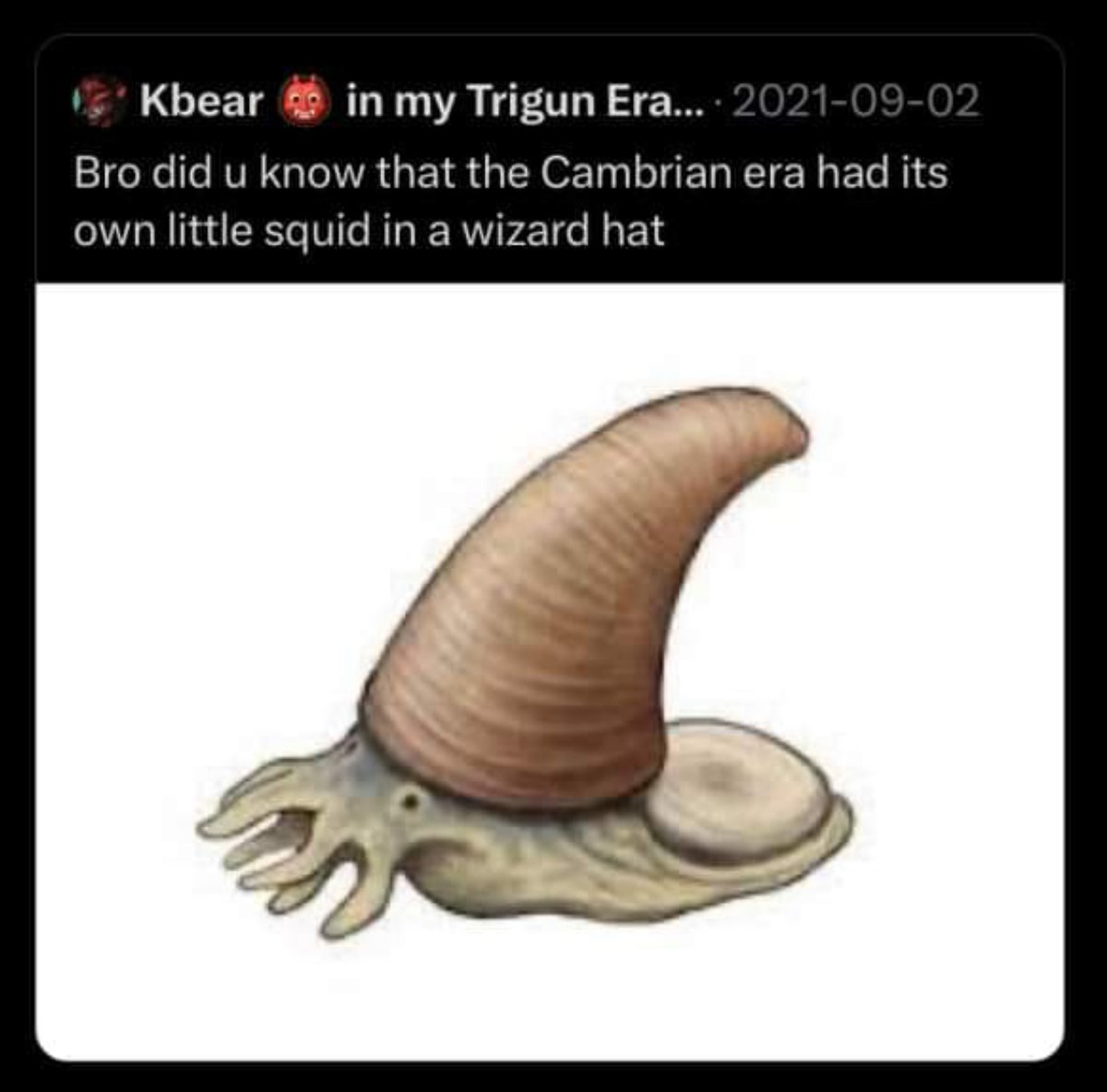 Swamp Music (@swampoflife) on Twitter photo 