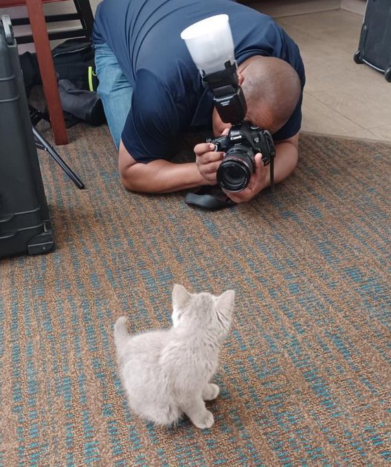 Thank you @Blush_Erotica for having me and being the best kitty godparents ever! https://t.co/CuQVXc<a class="tags" target="_blank" title="On Twitter" href="/?out=eyJ0eXAiOiJKV1QiLCJhbGciOiJIUzUxMiJ9.eyJpYXQiOjE3MjE1NjU0MjIsImlzcyI6InR3cG9ybnN0YXJzLmNvbSIsIm5iZiI6MTcyMTU2NTQyMiwiZXhwIjoxNzUzMTAxNDIyLCJyZWRpcmVjdF91cmwiOiJodHRwczovL3R3aXR0ZXIuY29tL0JsdXNoX0Vyb3RpY2EifQ.BX2tb2m76JgJGxd1TkTrJFXUJhgwi9x2sqEpRxAFSzjMlI3lemX5cycqGq4FHNz30rIdZbJut4gCnC-L1UGNGQ">@Blush_Erotica</a><a href="/tag/thankful"class="tags"><span>#thankful</span></a><a href="/tag/cats"class="tags"><span>#cats</span></a><a href="/tag/pets"class="tags"><span>#pets</span></a><a href="/tag/cutecat"class="tags"><span>#cutecat</span></a><a href="/tag/cutepuppy"class="tags"><span>#cutepuppy</span></a><a href="/tag/toypoodle"class="tags"><span>#toypoodle</span></a>