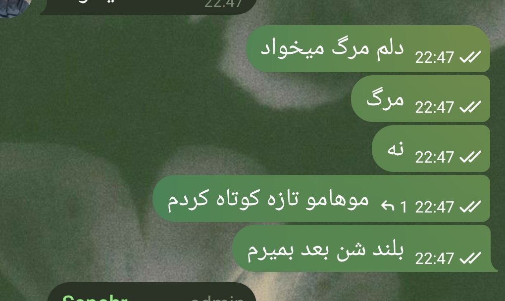 •آری• tweet media