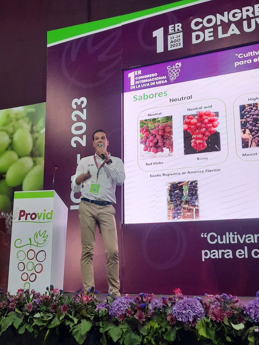 PortalFruticola's tweet image. Nos encontramos presentes en el 1er Congreso de #UvadeMesa organizado por #Provid Perú en Ica! 🍇

En esta oportunidad, especialistas comparten en tiempo presente sus conocimientos sobre producción, fertilización, fitosanidad, comercialización, tecnología y más.
