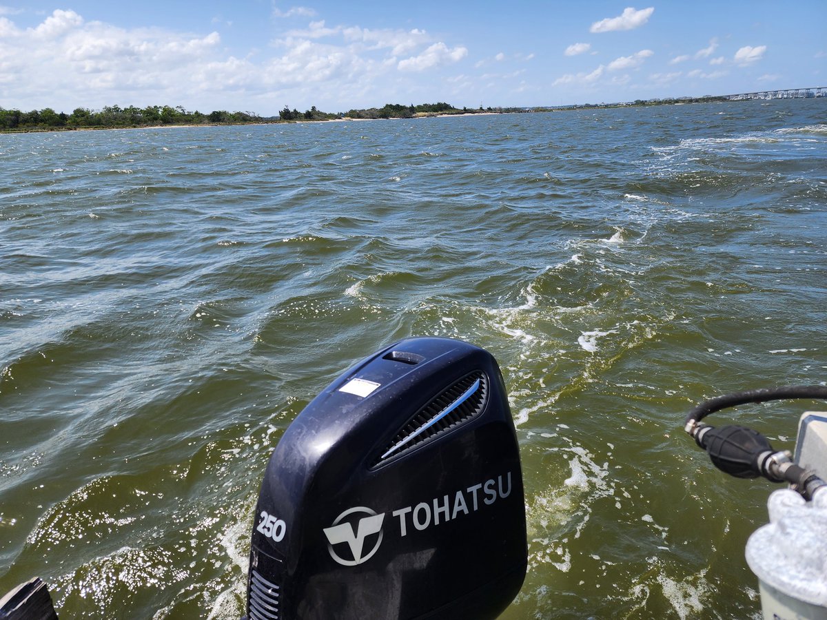 Atlas_Gearheart's tweet photo. I'm on a boat https://t.co/JRDmEgdoWj